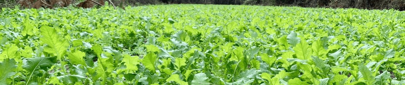 Application:Food Plots