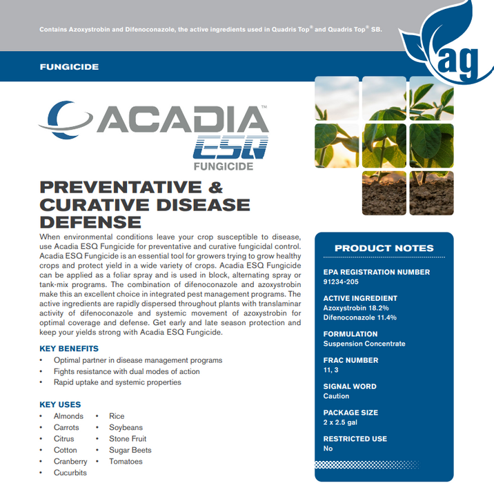 Acadia ESQ