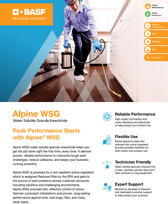 Alpine WSG