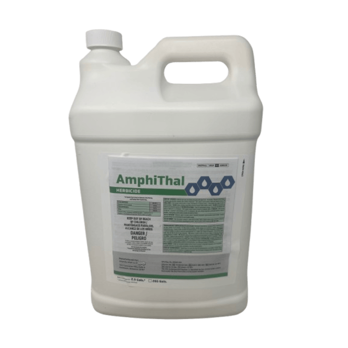 AmphiThal
