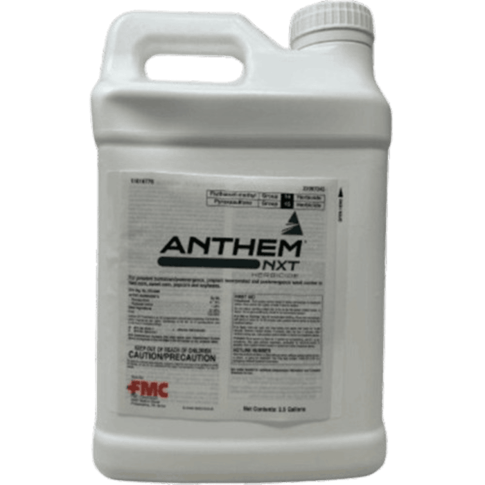 Anthem NXT