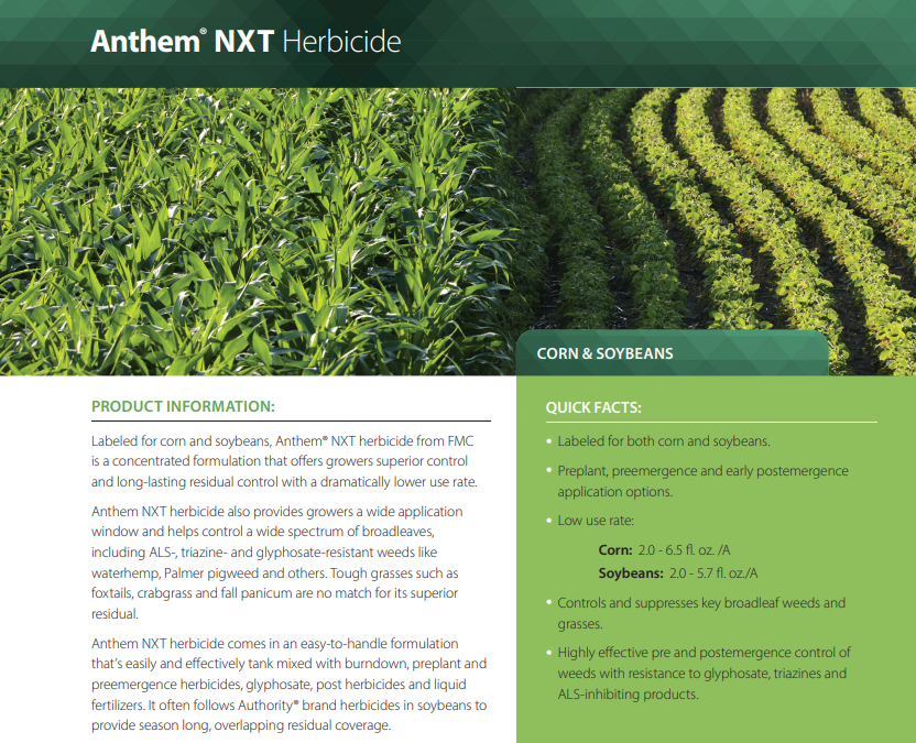 Anthem NXT
