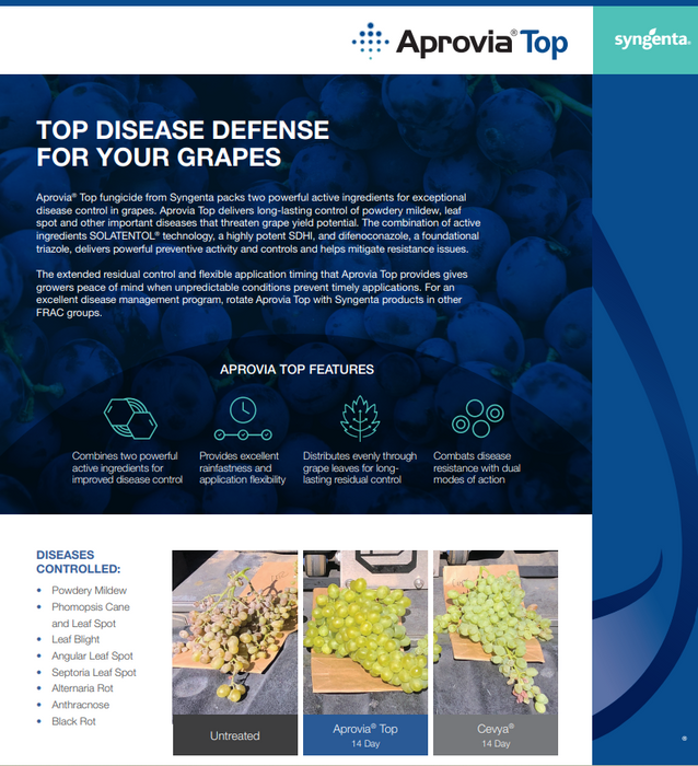 Aprovia Top Gallon