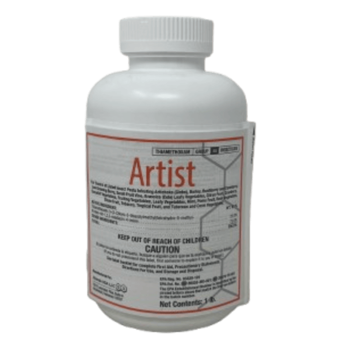 Artist