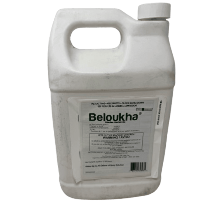 Beloukha