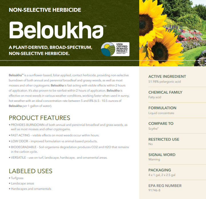Beloukha