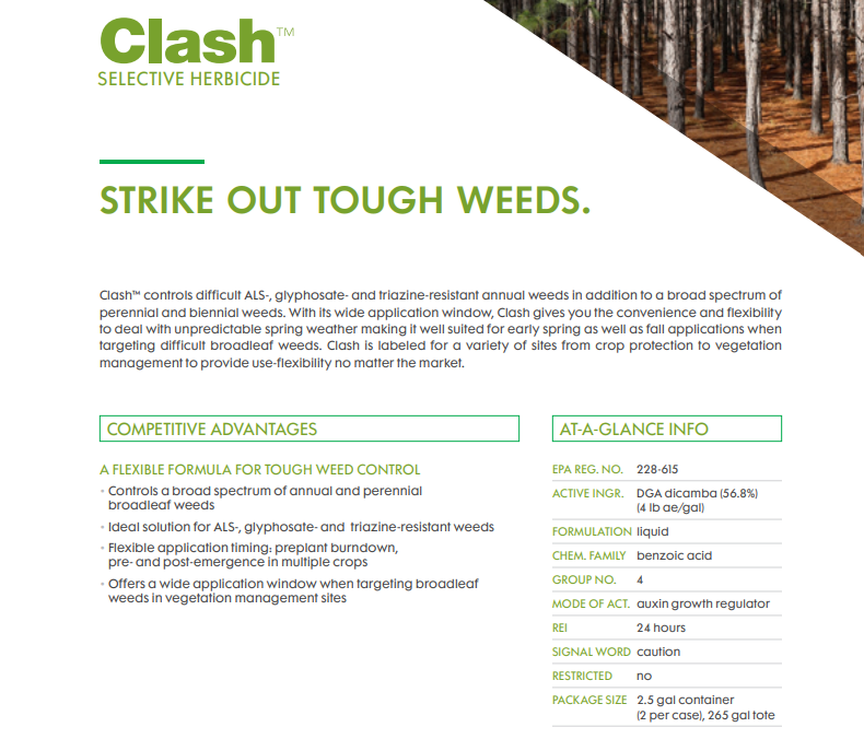 Clash DGA