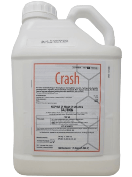 Crash