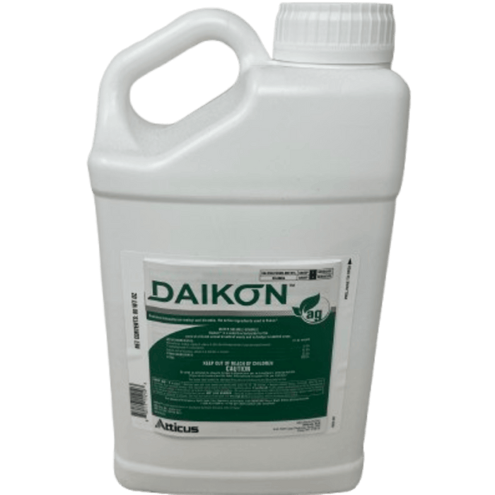 Daikon