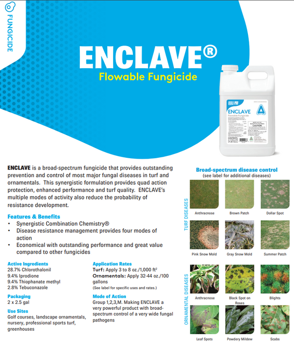 Enclave