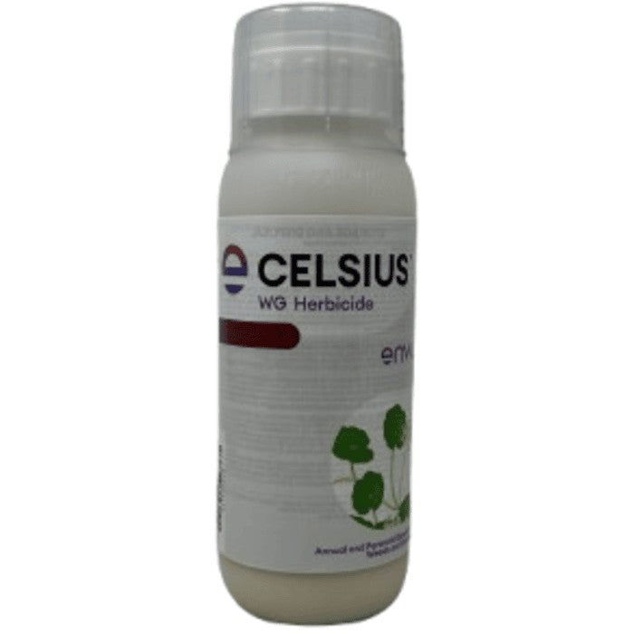 Celsius WG