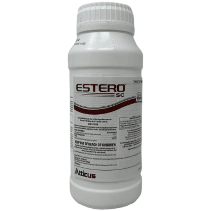 Estero SC
