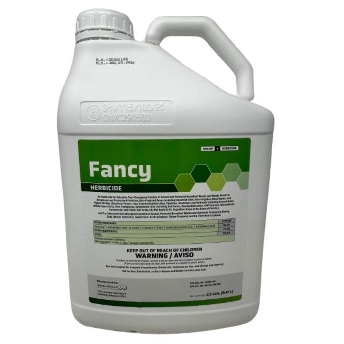 Fancy