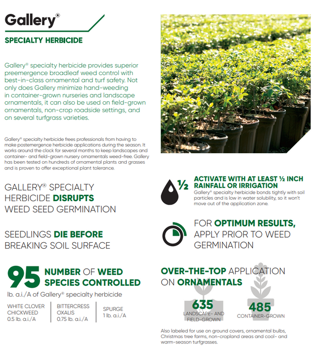 Gallery SC