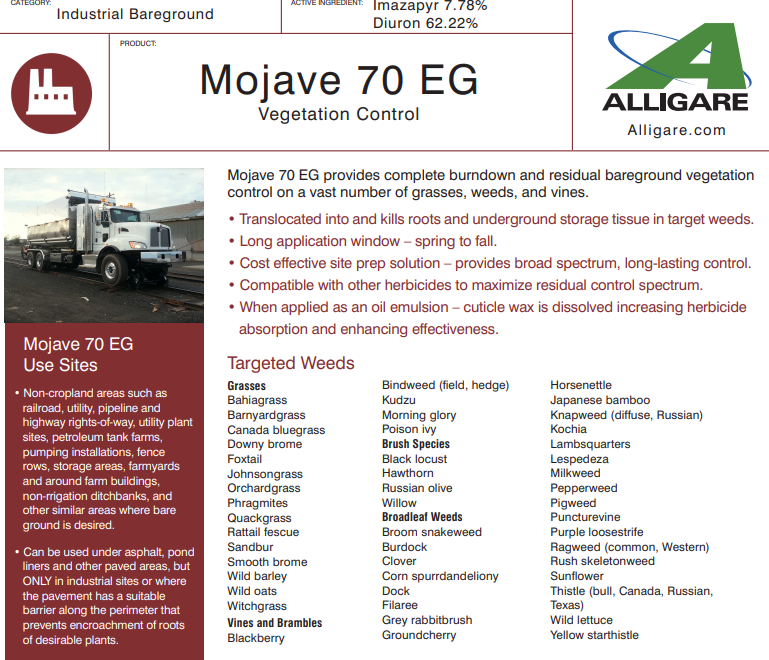 Mojave 70 EG