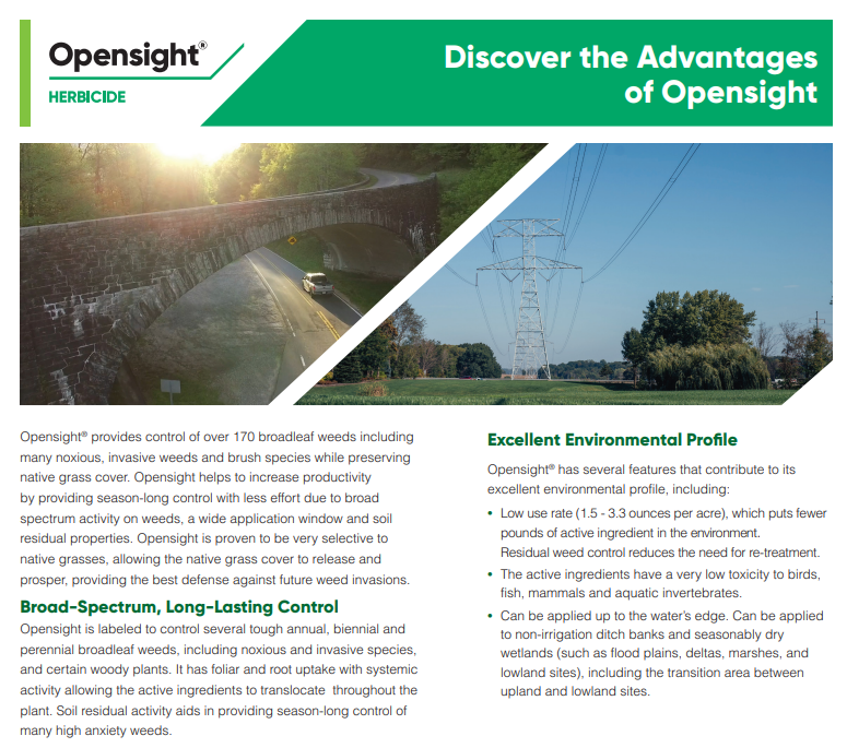 Opensight