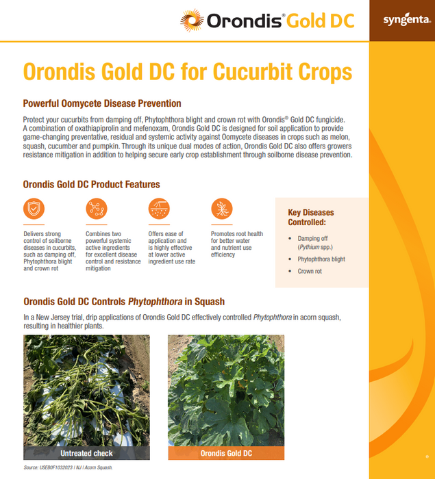 Orondis Gold DC