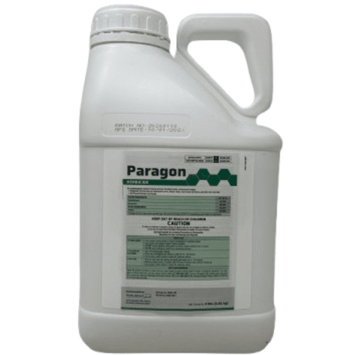 Paragon