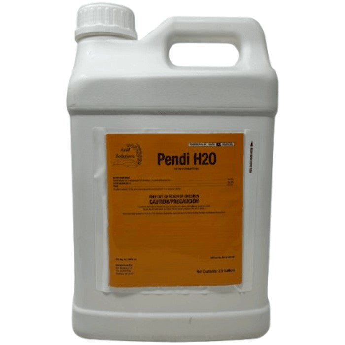 Pendi H2O