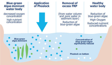 Phoslock | Algae Preventer | 40 and 55lb size options — Chemical Warehouse