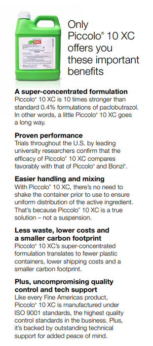 Piccolo 10 XC
