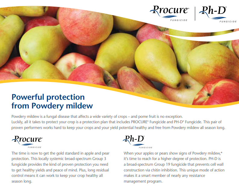 Procure 480SC