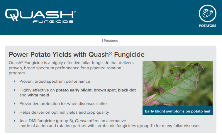 Quash