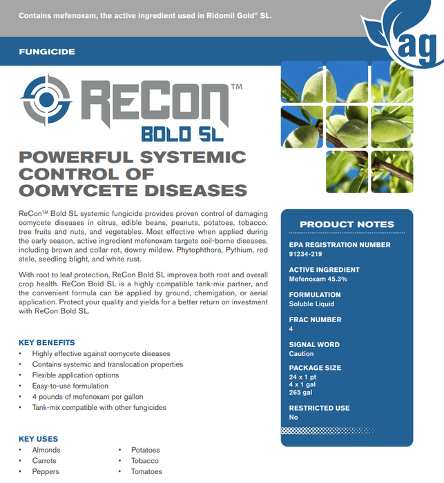 ReCon Bold SL