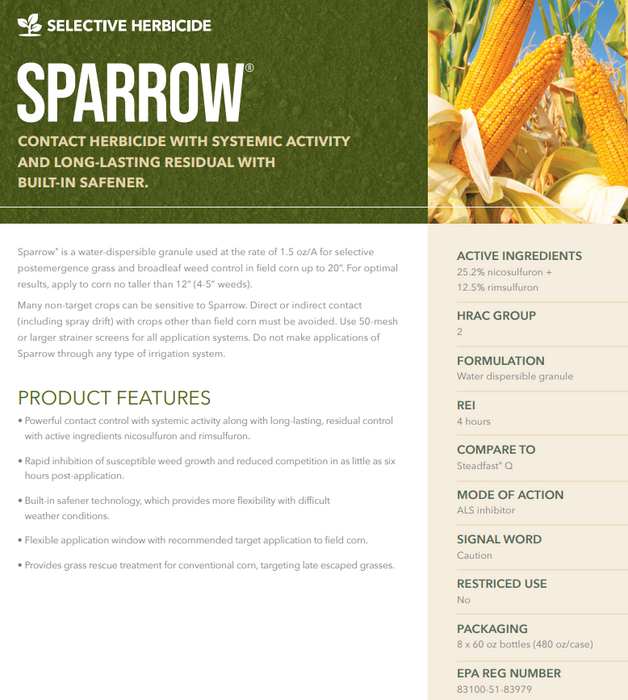 Sparrow