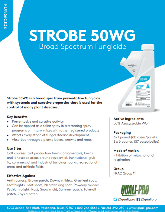 Strobe 50WG