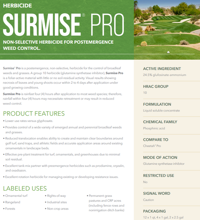 Surmise Pro