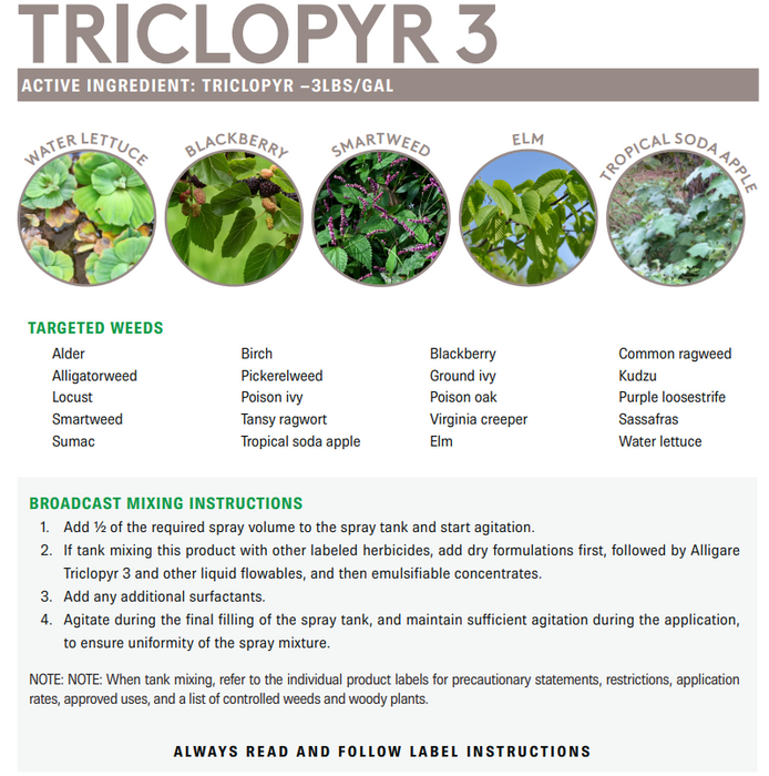 Triclopyr 3 (Amine)