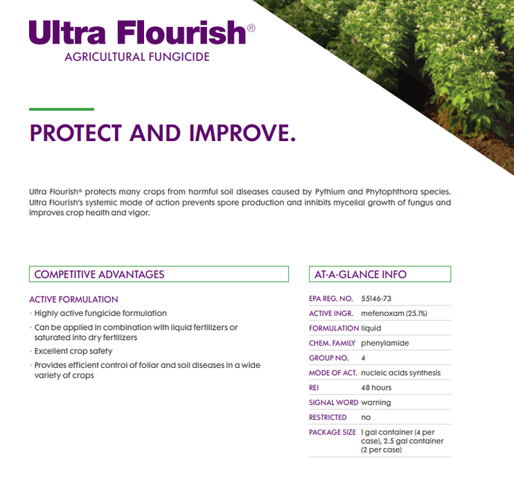Ultra Flourish