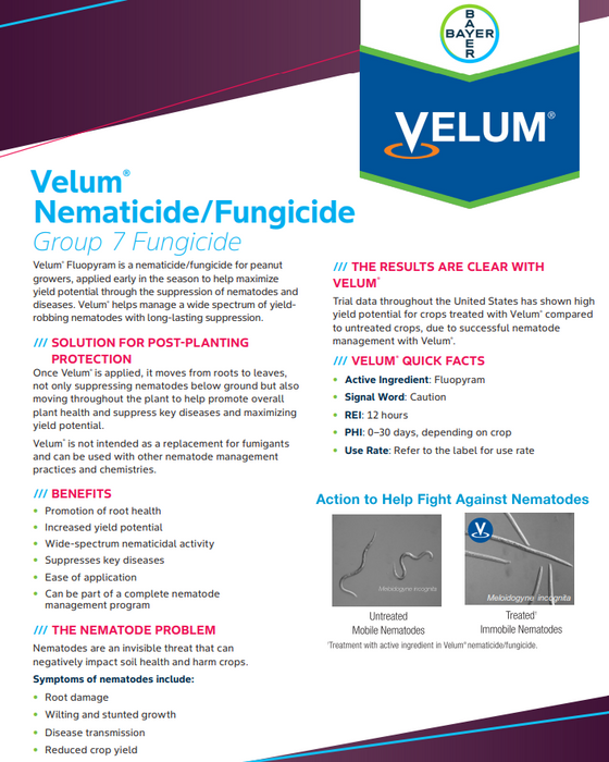 Velum