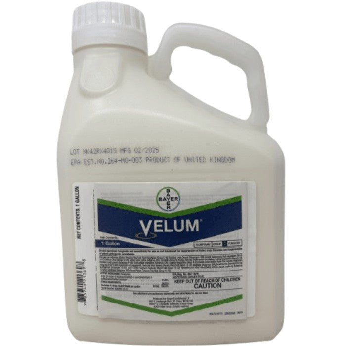 Velum