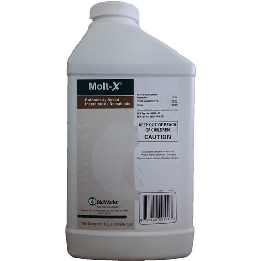 Molt X | 1 Quart